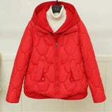Women’s Quilted Winter Jacket with Padded Design | Warm Ladies Coat for Cold Days