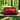 Everyday Crossbody Bag | Compact Design | Daily Use | Clutch Style